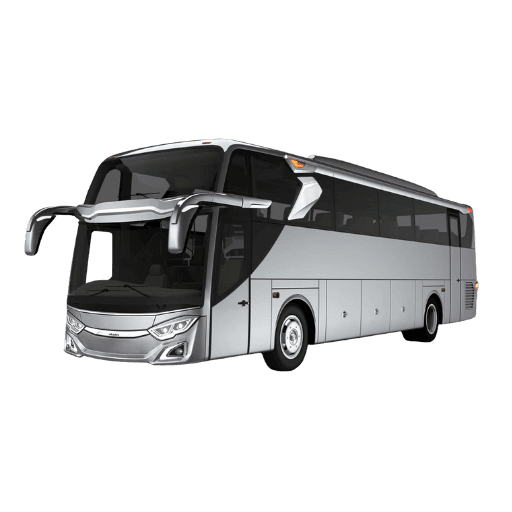 Big Bus 45 Seat